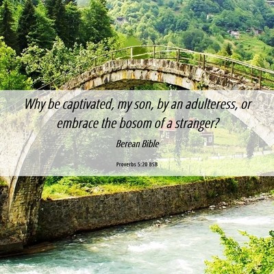 Picture 06 - Proverbs 5:20 BSB - Why be captivated, my son, by an adulteress, or - Bible Verse Picture