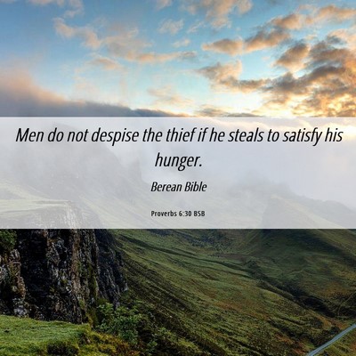 Picture 06 - Proverbs 6:30 BSB - Men do not despise the thief if he steals to - Bible Verse Picture