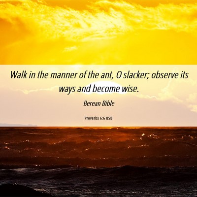 Picture 06 - Proverbs 6:6 BSB - Walk in the manner of the ant, O slacker; observe - Bible Verse Picture