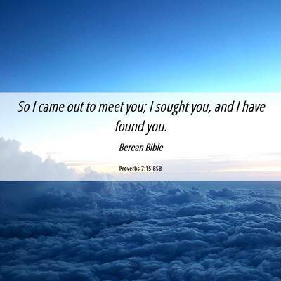 Picture 06 - Proverbs 7:15 BSB - So I came out to meet you; I sought you, and I - Bible Verse Picture