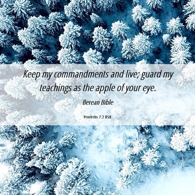 Picture 06 - Proverbs 7:2 BSB - Keep my commandments and live; guard my teachings - Bible Verse Picture