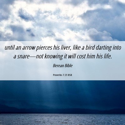 Picture 06 - Proverbs 7:23 BSB - until an arrow pierces his liver, like a bird - Bible Verse Picture