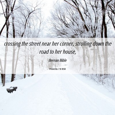 Picture 06 - Proverbs 7:8 BSB - crossing the street near her corner, strolling - Bible Verse Picture