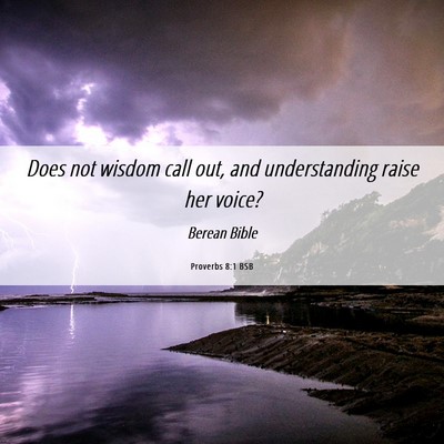 Picture 06 - Proverbs 8:1 BSB - Does not wisdom call out, and understanding raise - Bible Verse Picture