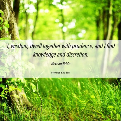 Picture 06 - Proverbs 8:12 BSB - I, wisdom, dwell together with prudence, and I - Bible Verse Picture
