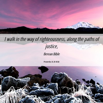 Picture 06 - Proverbs 8:20 BSB - I walk in the way of righteousness, along the - Bible Verse Picture