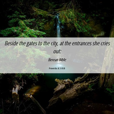 Picture 06 - Proverbs 8:3 BSB - Beside the gates to the city, at the entrances - Bible Verse Picture
