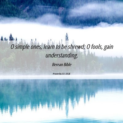 Picture 06 - Proverbs 8:5 BSB - O simple ones, learn to be shrewd; O fools, gain - Bible Verse Picture
