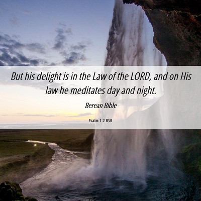 Picture 06 - Psalm 1:2 BSB - But his delight is in the Law of the LORD, and on - Bible Verse Picture