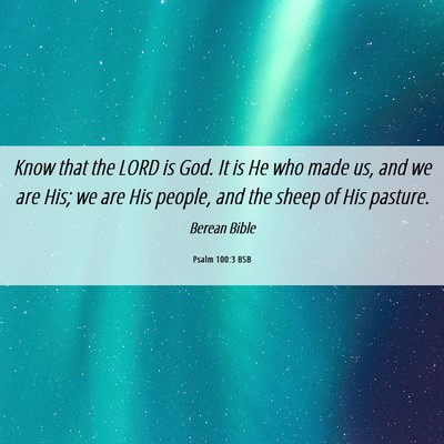 Picture 06 - Psalm 100:3 BSB - Know that the LORD is God. It is He who made us, - Bible Verse Picture