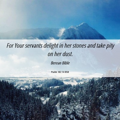 Picture 06 - Psalm 102:14 BSB - For Your servants delight in her stones and take - Bible Verse Picture