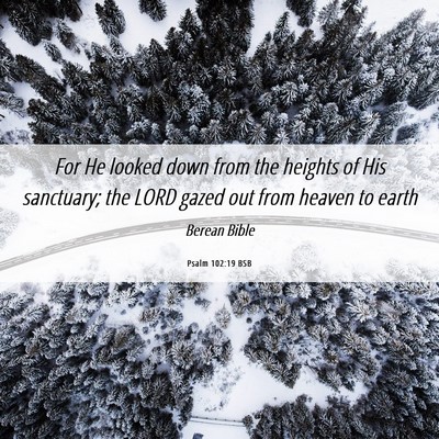 Picture 06 - Psalm 102:19 BSB - For He looked down from the heights of His - Bible Verse Picture