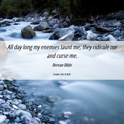 Picture 06 - Psalm 102:8 BSB - All day long my enemies taunt me; they ridicule - Bible Verse Picture