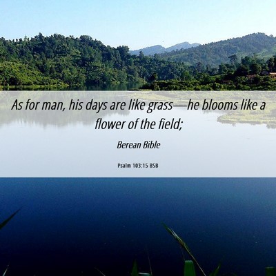 Picture 06 - Psalm 103:15 BSB - As for man, his days are like grass—he blooms - Bible Verse Picture