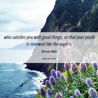 Picture 06 - Psalm 103:5 BSB - who satisfies you with good things, so that your - Bible Verse Picture