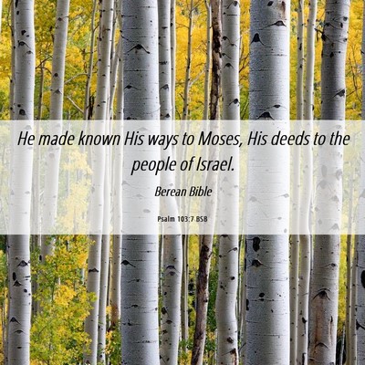 Picture 06 - Psalm 103:7 BSB - He made known His ways to Moses, His deeds to the - Bible Verse Picture