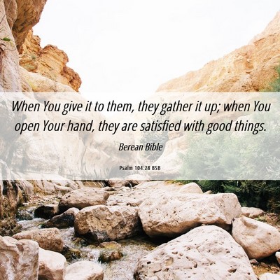 Picture 06 - Psalm 104:28 BSB - When You give it to them, they gather it up; when - Bible Verse Picture
