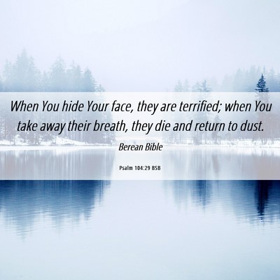 Picture 06 - Psalm 104:29 BSB - When You hide Your face, they are terrified; when - Bible Verse Picture
