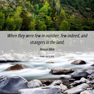 Picture 06 - Psalm 105:12 BSB - When they were few in number, few indeed, and - Bible Verse Picture