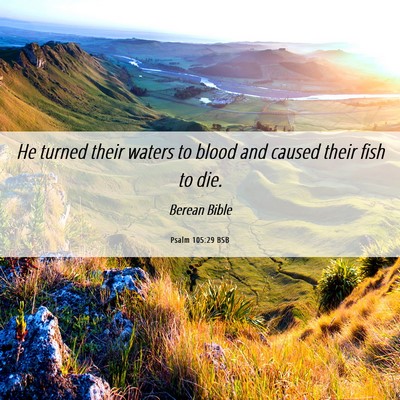 Picture 06 - Psalm 105:29 BSB - He turned their waters to blood and caused their - Bible Verse Picture