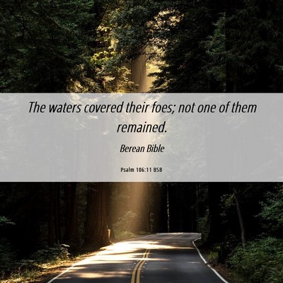 Picture 06 - Psalm 106:11 BSB - The waters covered their foes; not one of them - Bible Verse Picture