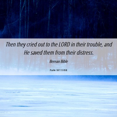Picture 06 - Psalm 107:13 BSB - Then they cried out to the LORD in their trouble, - Bible Verse Picture