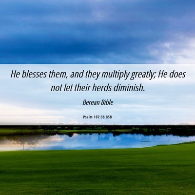 Picture 06 - Psalm 107:38 BSB - He blesses them, and they multiply greatly; He - Bible Verse Picture