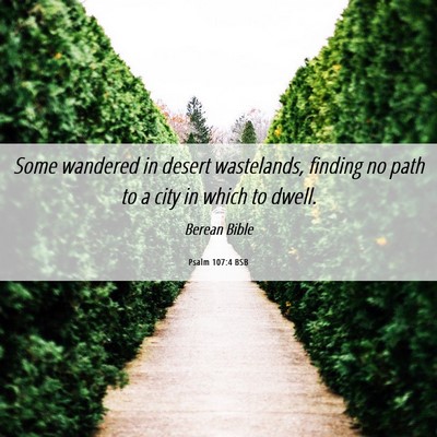 Picture 06 - Psalm 107:4 BSB - Some wandered in desert wastelands, finding no - Bible Verse Picture