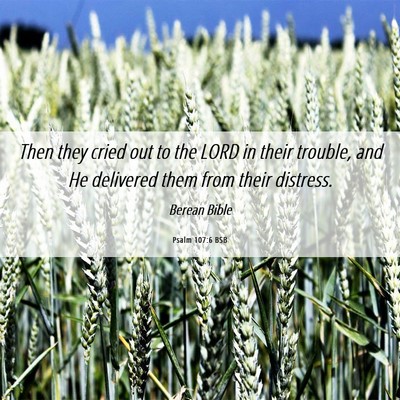 Picture 06 - Psalm 107:6 BSB - Then they cried out to the LORD in their trouble, - Bible Verse Picture