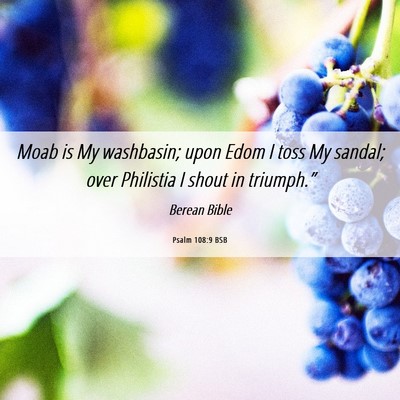 Picture 06 - Psalm 108:9 BSB - Moab is My washbasin; upon Edom I toss My sandal; - Bible Verse Picture