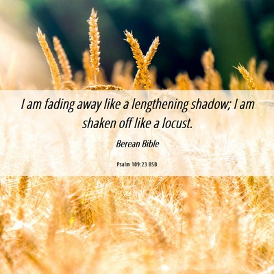Picture 06 - Psalm 109:23 BSB - I am fading away like a lengthening shadow; I am - Bible Verse Picture