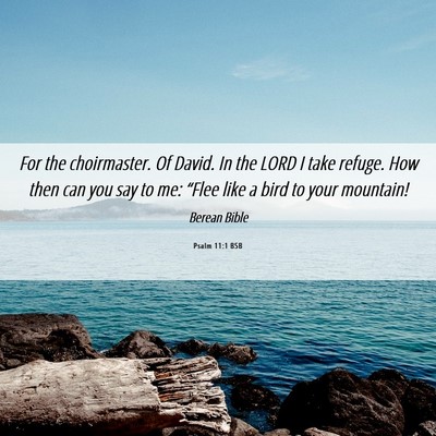 Picture 06 - Psalm 11:1 BSB - For the choirmaster. Of David. In the LORD I take - Bible Verse Picture