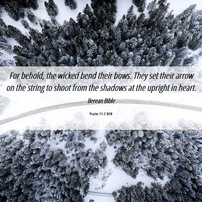 Picture 06 - Psalm 11:2 BSB - For behold, the wicked bend their bows. They set - Bible Verse Picture