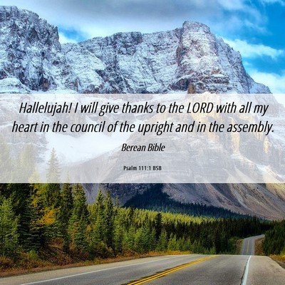 Picture 06 - Psalm 111:1 BSB - Hallelujah! I will give thanks to the LORD with - Bible Verse Picture