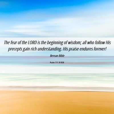 Picture 06 - Psalm 111:10 BSB - The fear of the LORD is the beginning of wisdom; - Bible Verse Picture