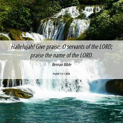 Picture 06 - Psalm 113:1 BSB - Hallelujah! Give praise, O servants of the LORD; - Bible Verse Picture