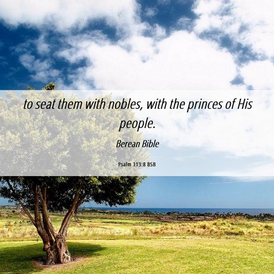 Picture 06 - Psalm 113:8 BSB - to seat them with nobles, with the princes of His - Bible Verse Picture