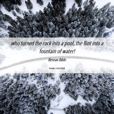 Picture 06 - Psalm 114:8 BSB - who turned the rock into a pool, the flint into a - Bible Verse Picture