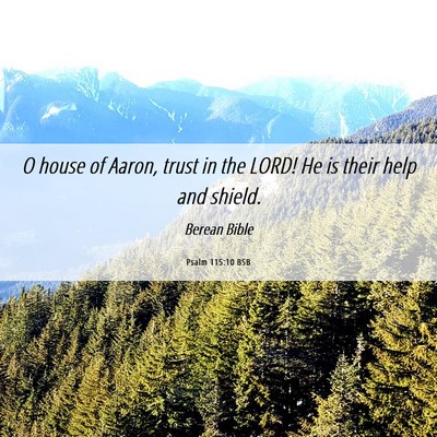 Picture 06 - Psalm 115:10 BSB - O house of Aaron, trust in the LORD! He is their - Bible Verse Picture