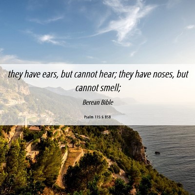 Picture 06 - Psalm 115:6 BSB - they have ears, but cannot hear; they have noses, - Bible Verse Picture