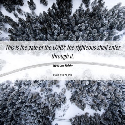 Picture 06 - Psalm 118:20 BSB - This is the gate of the LORD; the righteous shall - Bible Verse Picture