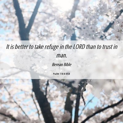 Picture 06 - Psalm 118:8 BSB - It is better to take refuge in the LORD than to - Bible Verse Picture
