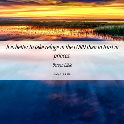Picture 06 - Psalm 118:9 BSB - It is better to take refuge in the LORD than to - Bible Verse Picture