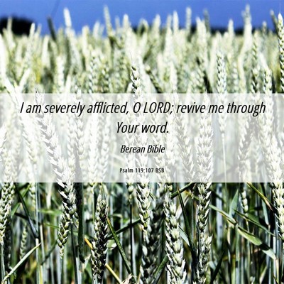 Picture 06 - Psalm 119:107 BSB - I am severely afflicted, O LORD; revive me - Bible Verse Picture