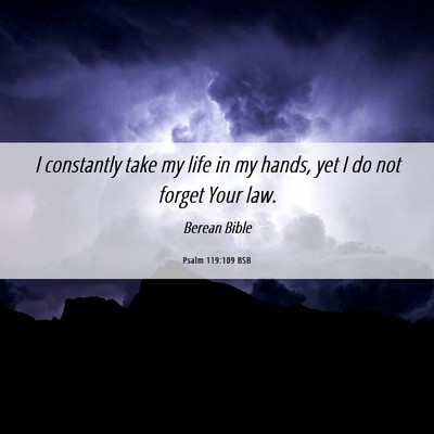 Picture 06 - Psalm 119:109 BSB - I constantly take my life in my hands, yet I do - Bible Verse Picture