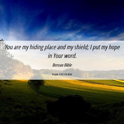 Picture 06 - Psalm 119:114 BSB - You are my hiding place and my shield; I put my - Bible Verse Picture