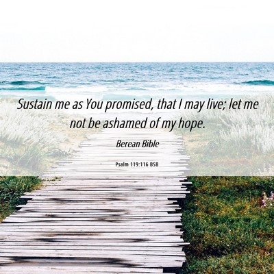 Picture 06 - Psalm 119:116 BSB - Sustain me as You promised, that I may live; let - Bible Verse Picture