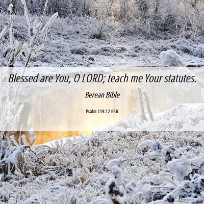 Picture 06 - Psalm 119:12 BSB - Blessed are You, O LORD; teach me Your - Bible Verse Picture