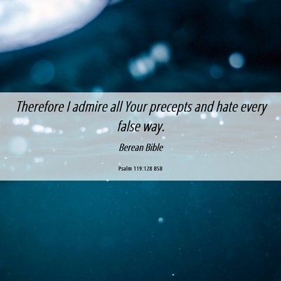 Picture 06 - Psalm 119:128 BSB - Therefore I admire all Your precepts and hate - Bible Verse Picture