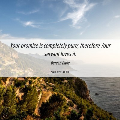 Picture 06 - Psalm 119:140 BSB - Your promise is completely pure; therefore Your - Bible Verse Picture